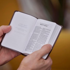 Listing 4 of 9 for KJV Holy Bible: Pocket New Testament with Psalms and Proverbs, Brown Leatherfl