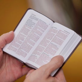 Listing 5 of 9 for KJV Holy Bible: Pocket New Testament with Psalms and Proverbs, Brown Leatherfl