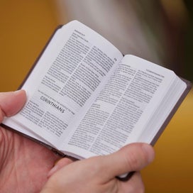 Listing 6 of 9 for KJV Holy Bible: Pocket New Testament with Psalms and Proverbs, Brown Leatherfl