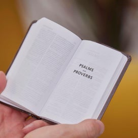 Listing 7 of 9 for KJV Holy Bible: Pocket New Testament with Psalms and Proverbs, Brown Leatherfl