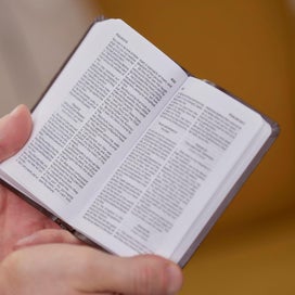 Listing 8 of 9 for KJV Holy Bible: Pocket New Testament with Psalms and Proverbs, Brown Leatherfl