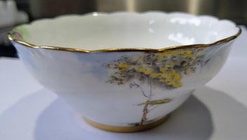 Listing 6 of 9 for Vintage Paragon ''Woodland Bluebell'' part of tea set