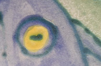 Listing 6 of 7 for Huge handmade pottery platter - Barry and Diane Woods, New Zealand