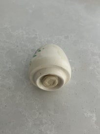 Listing 4 of 18 for Susie Cooper Dresden Spray Cruet set