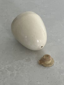 Listing 12 of 18 for Susie Cooper Dresden Spray Cruet set