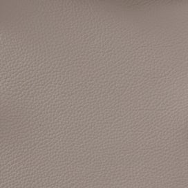 Listing 2 of 2 for Top Grain Leather Hides - Beige