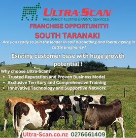 Franchise Opportunity Ultra-Scan Cattle pregnancy testing and calf disbudding