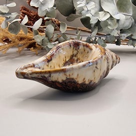 Listing 2 of 2 for Ceramic seashell ornamental dish
