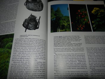 Listing 3 of 4 for The Nature World of the Maori Margaret Orbell