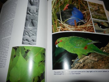 Listing 4 of 4 for The Nature World of the Maori Margaret Orbell