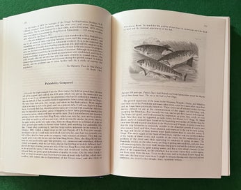 Listing 5 of 6 for New Zealand's Treasury Of Trout & Salmon - An Angling Anthology