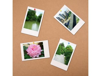 Listing 6 of 9 for 500Pcs Multi-Color Push Pins Map Tacks Round Head With Stainless Point For