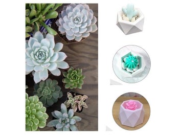 Listing 4 of 10 for 3D Silicone Mold For Diamond Love Heart Round Succulent Flower Pot DIY Ashtray