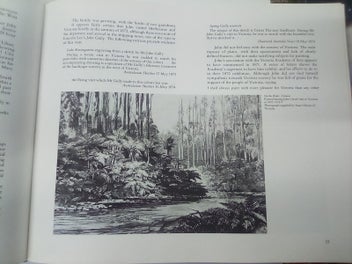 Listing 15 of 19 for New Zealand's Romantic Landscape - Paintings by John Gully SIGNED COPY