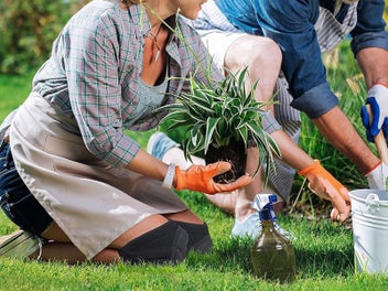 Listing 4 of 8 for Gardening Knee Pads Anti-Slip EVA Foam Cushioned Knee Protectors L