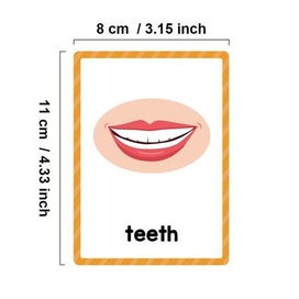 Listing 3 of 10 for Body Part Montessori English Word Learning Flash Cards for Kids