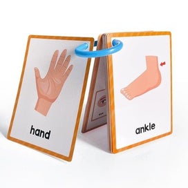 Listing 4 of 10 for Body Part Montessori English Word Learning Flash Cards for Kids