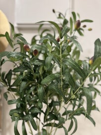 Listing 10 of 18 for Artificial plants with tall glass vase