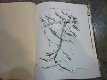 Listing 11 of 11 for BRIAN HALLIDAY . "THE APPLE TREE". OIL ON BOARD