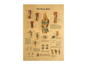 Listing 4 of 8 for The Body Structure Skeleton Nervous System Vintage Poster Medical Decoracion