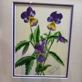 Listing 2 of 5 for Panseys Watercolour by Kelsey Pather NZ Artist