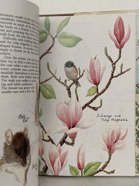 Listing 8 of 10 for ELAINE POWERS LIVING GARDEN: An Illustrated Diary 1984 1st edition