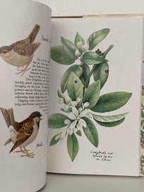 Listing 9 of 10 for ELAINE POWERS LIVING GARDEN: An Illustrated Diary 1984 1st edition