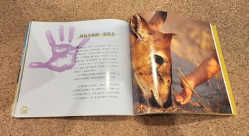 Listing 2 of 4 for Tippi: My Book of Africa (Chinese Edition)