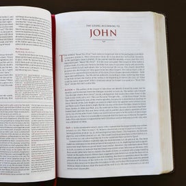 Listing 4 of 5 for NKJV Study Bible, Hardcover, Red Letter Edition, Comfort Print