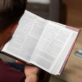 Listing 5 of 5 for NKJV Study Bible, Hardcover, Red Letter Edition, Comfort Print