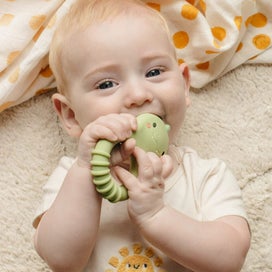Listing 2 of 2 for TT Silicone Teether Dino