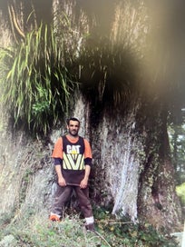 Listing 14 of 20 for (Eco-Friendly)Solid 320 cm Rata Slab – 320 × 80/70 × 8.5cm (~190 kg)