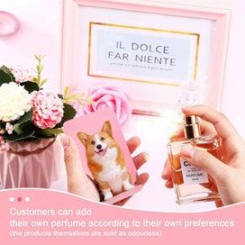 Listing 10 of 15 for 30pcs Sublimation Blank Air Freshener Sheets Felt Blanks DIY Set