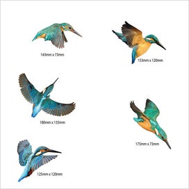 Listing 2 of 4 for Kingfisher Bird Wall Set