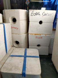 Listing 7 of 7 for Porcelain doll molds