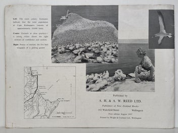 Listing 3 of 5 for THE GANNETS OF CAPE KIDNAPPERS by Reg. Williams 1957 1st edition