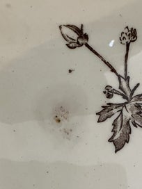 Listing 7 of 15 for Beautiful Victorian serving dish chrysanthemum design 1880s George Jones and Son