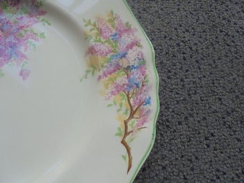 Listing 3 of 5 for J&G Meakin Sunshine gorgeous lunch plate