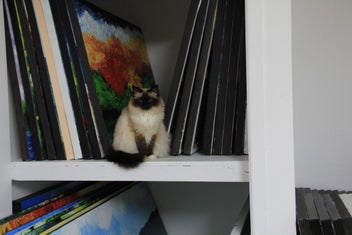 Listing 11 of 12 for Large 100x40cm Contemporary Painting Happy poppies Perfect for Above Bed/Sofa