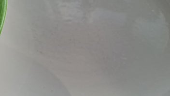 Listing 10 of 11 for Temuka green and orange banded dinner plates x 5