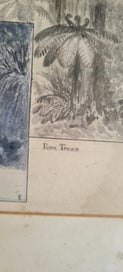 Listing 6 of 7 for Framed Drawing - Upper and Lower Waterfalls on the Pokaiwhenua