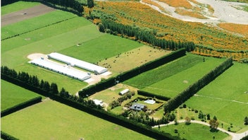 Chicken &amp; Drystock Farm