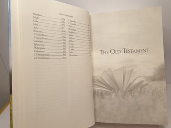 Listing 11 of 20 for The Bible in Verse: A Poetic Interpretation of Holy Scripture by Rob Bellingham