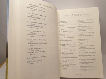Listing 14 of 20 for The Bible in Verse: A Poetic Interpretation of Holy Scripture by Rob Bellingham