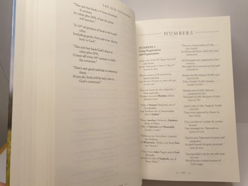 Listing 16 of 20 for The Bible in Verse: A Poetic Interpretation of Holy Scripture by Rob Bellingham