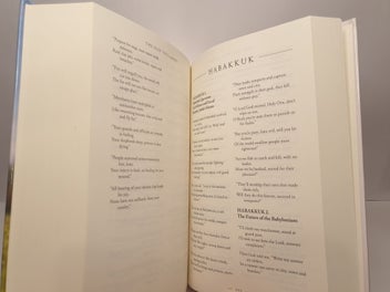 Listing 19 of 20 for The Bible in Verse: A Poetic Interpretation of Holy Scripture by Rob Bellingham