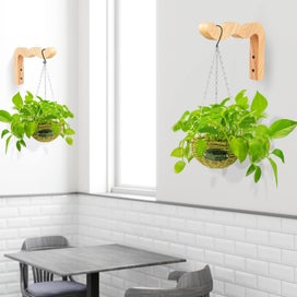 Listing 2 of 7 for 2-Pack Wall Plant Hanger Hooks, 6.8" Wooden Indoor/Outdoor Basket Hooks