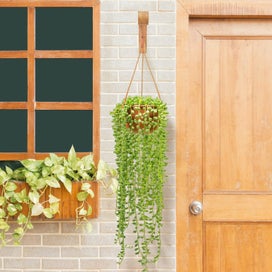 Listing 4 of 7 for 2-Pack Wall Plant Hanger Hooks, 6.8" Wooden Indoor/Outdoor Basket Hooks