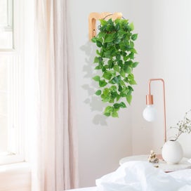 Listing 7 of 7 for 2-Pack Wall Plant Hanger Hooks, 6.8" Wooden Indoor/Outdoor Basket Hooks