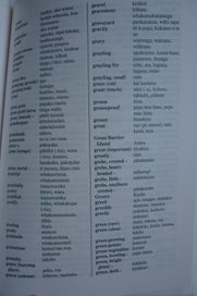Listing 7 of 10 for The Reed Dictionary of Modern Maori